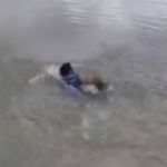 É proibido nadar na Lagoa da Pampulha? Saiba o que diz a legislação do município