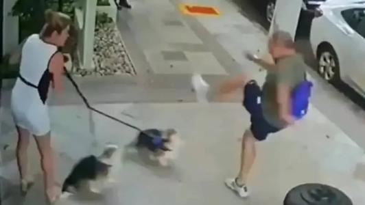 Homem foi indiciado por lesão corporal dolosa e maus-tratos a animais
