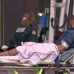 Surfista escapa de ataque de tubarão branco em praia na Austrália