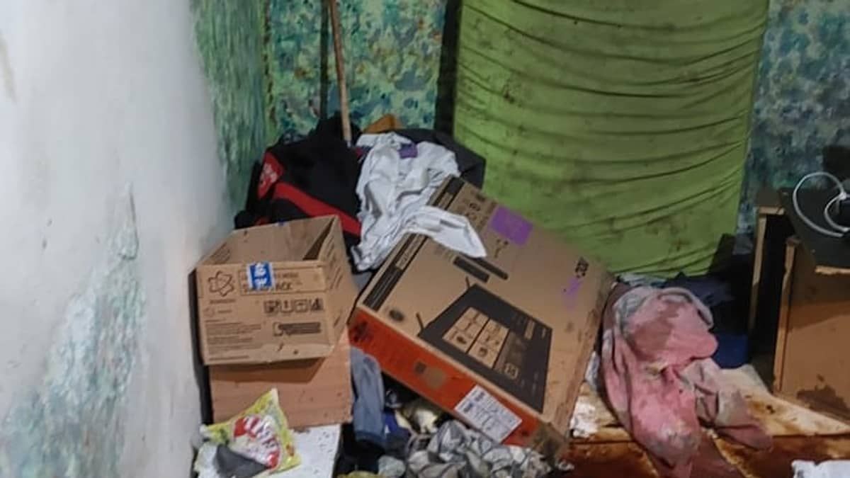 Homem é detido após conviver 10 dias com cavalo morto dentro de casa na Grande BH 