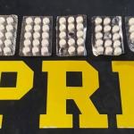 Caminhoneiro é preso há dias sem dormir e com 65 'rebites' na BR-116