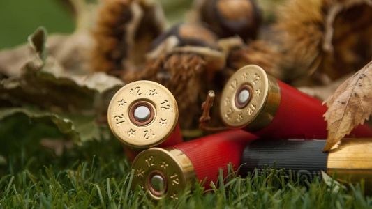 Homem fugiu depois de matar cinco vizinhos