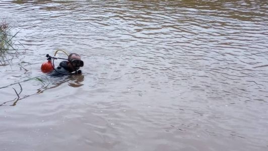 Homem nadava no rio quando afundou e não foi mais visto