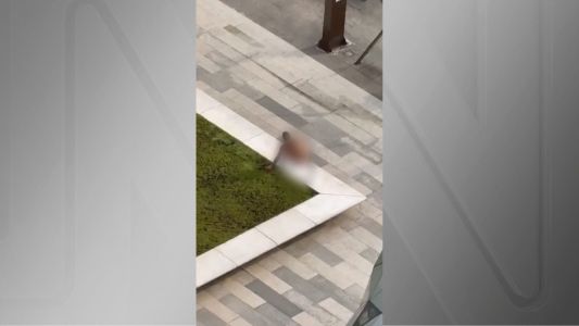Homem pelado na Faria Lima é detido pela polícia de SP | CNN Brasil