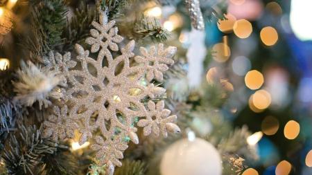 Homem que buscou vingança em noite de Natal, mas matou vítima errada