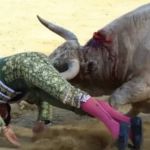 Vídeo: toureiro é internado em estado grave após ser atingido no reto por chifre