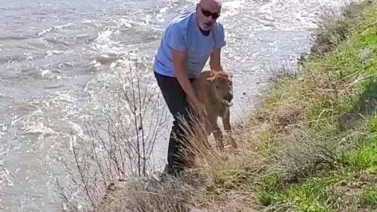 Homem vestido com camisa azul e calça preta abordou o filhote