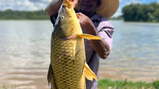 Homem viralizou após pescar uma carpa de 1 metro na Lagoa da Pampulha