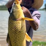 É proibido pescar na Lagoa da Pampulha? Saiba o que diz a legislação do município
