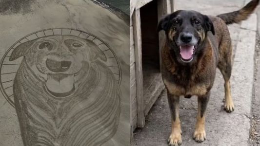 Homenagem a Orelha na Praia de