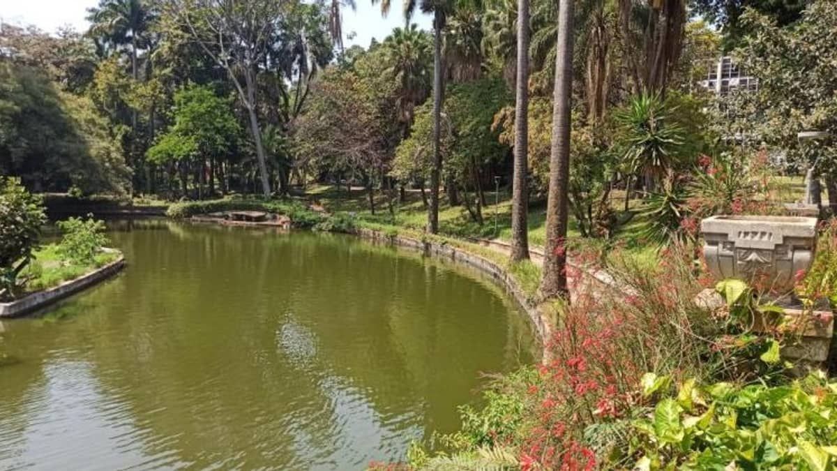 Parque Municipal completa 126 anos com programação de graça neste domingo  