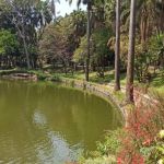 Parque Municipal completa 126 anos com programação de graça neste domingo  