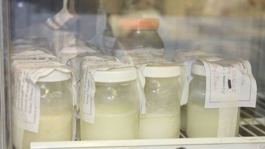 Hospitais guardam leite materno para amamentar bebês internados em neo-natais