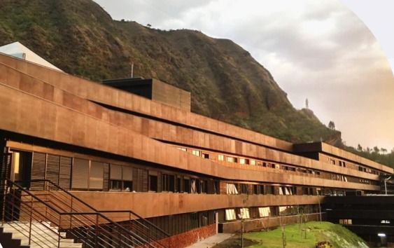 Fake news: hospital de BH desmente áudio sobre intoxicações e mortes por metanol