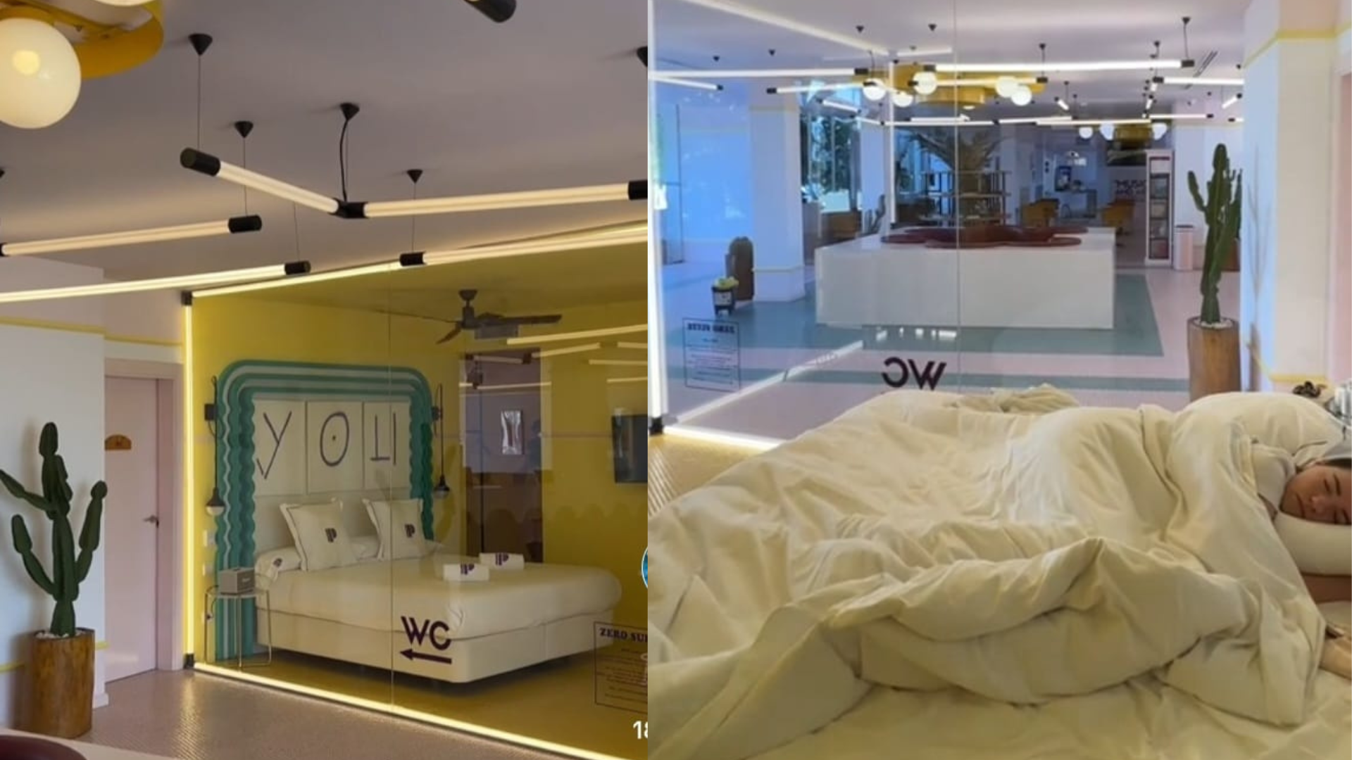 Hotel em Ibiza oferece suíte grátis; entenda a condição