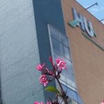 HU da UFJF desmente fake news envolvendo atendimento em Juiz de Fora