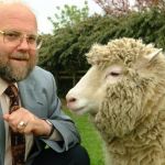 Morre Ian Wilmut, cientista que criou ovelha clonada Dolly, aos 79 anos