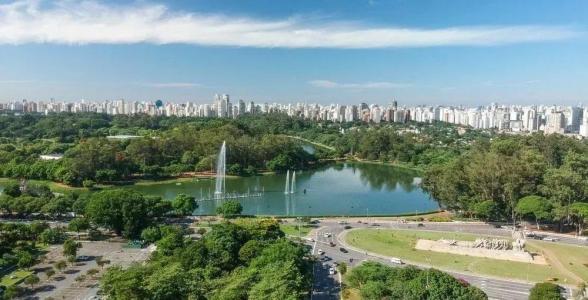 Parque Ibirapuera pode mudar de nome para a homenagear a cantora Rita Lee | CNN Brasil