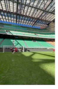 Ibrahimovic marca golaço com assistência do Luva de Pedreiro