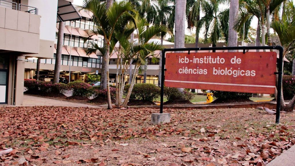 UFMG anula fase de concurso para professor negro que só aprovou candidatos brancos
