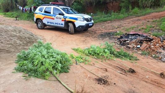 Idosa disse aos militares que não é usuária de drogas