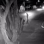 Vídeo: idosa morre atropelada e motorista foge sem prestar socorro no interior de Minas Gerais