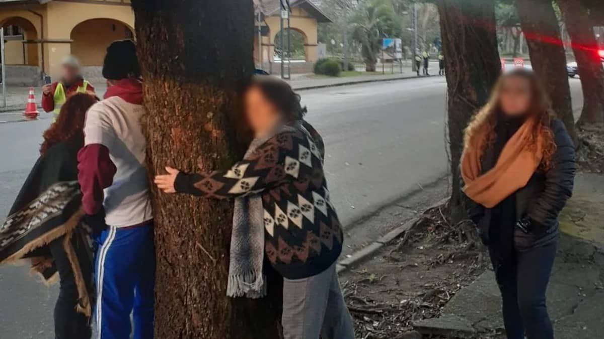 Idosa abraça árvore para impedir corte de planta no interior de Minas