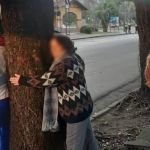 Idosa abraça árvore para impedir corte de planta no interior de Minas