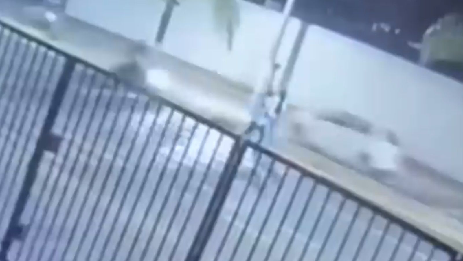 Vídeo: idoso de 76 anos é atropelado enquanto atravessava na faixa de pedestre em MG