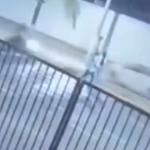 Vídeo: idoso de 76 anos é atropelado enquanto atravessava na faixa de pedestre em MG