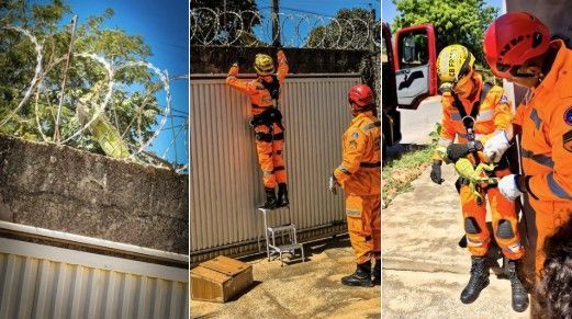 Iguana fica presa em cerca elétrica e é resgatada por bombeiros