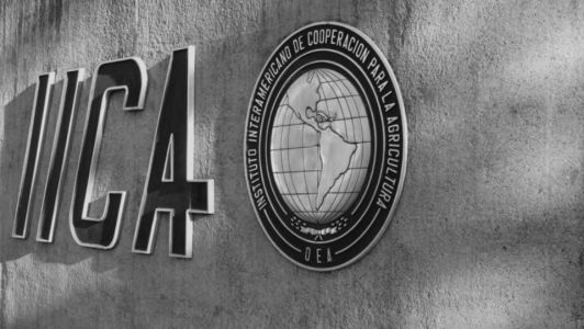 IICA vai eleger seu novo comandante