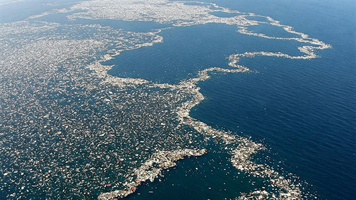 A ilha sem lei nem terra que é 3 vezes maior que a França