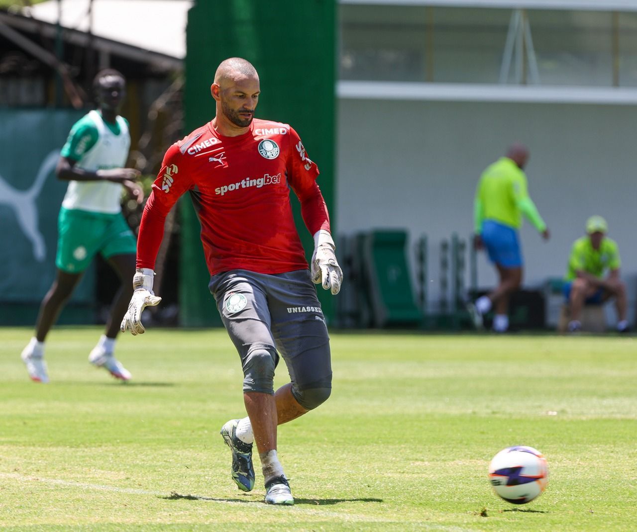 Palmeiras recebe contato do Grêmio, que avança para contratar Weverton após incômodo