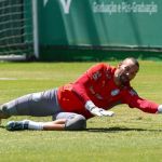 Palmeiras libera, e Weverton acerta com Grêmio por três anos; veja detalhes
