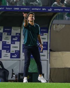 Abel Ferreira disse que o Palmeiras entrou desmobilizado contra o Novorizontino