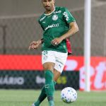 Titular do Palmeiras defende diretor xingado pela torcida e faz pedido