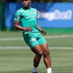 Integrado ao Palmeiras, Jhon Arias abre o jogo sobre adaptação e projeta estreia