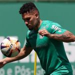 Vice-presidente do Palmeiras abre o jogo sobre voltas de Paulinho e Allianz