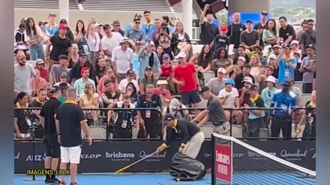 Jogo de tênis na Austrália é interrompido por invasão de cobra venenosa