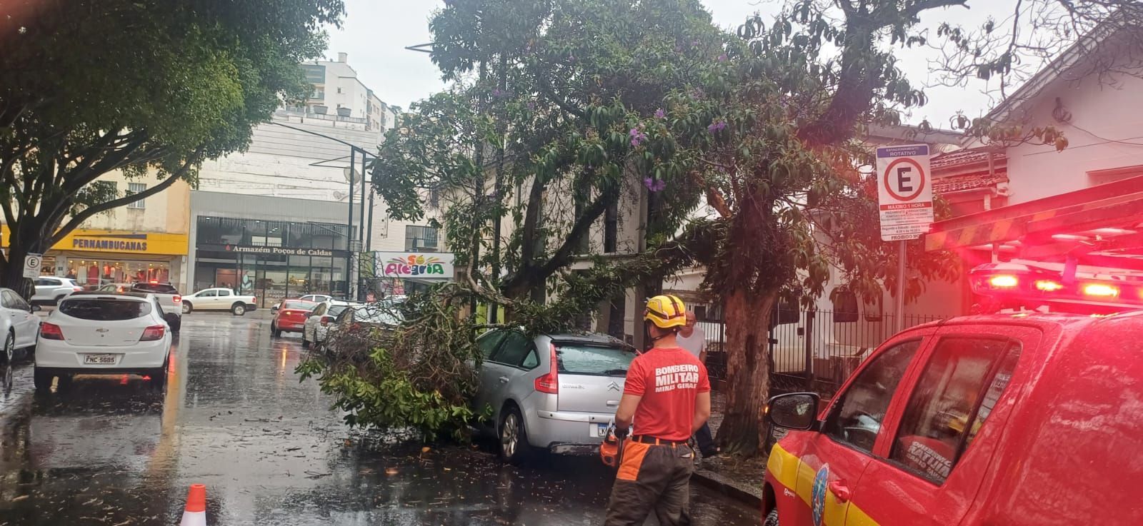 Árvore cai e atinge carro estacionado em rua de Poços de Caldas