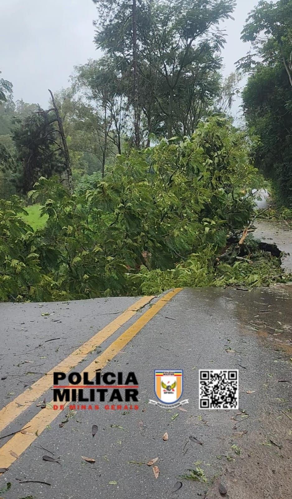 Forte chuva deixa rodovia BR-459 interditada em Delfim Moreira
