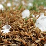 Cidades de Minas têm alerta de granizo e 100 mm de chuva; veja lista  