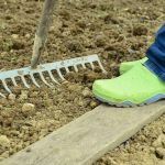 Homem é condenado a 21 anos de prisão por matar jovem durante briga por compra de lote  