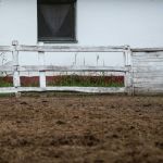 Proprietário rural é condenado a pagar adicional de insalubridade a empregado que limpava curral em MG