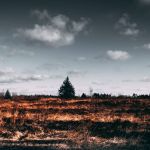 Espanha é devastada por mais de 100 incêncios florestais em um dia