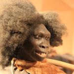 Pessoas com genes de Neandertal podem ficar até duas vezes mais doentes caso peguem Covid-19, aponta pesquisa  