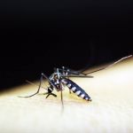Biomédico morre em Teófilo Otoni com suspeita de dengue hemorrágica  