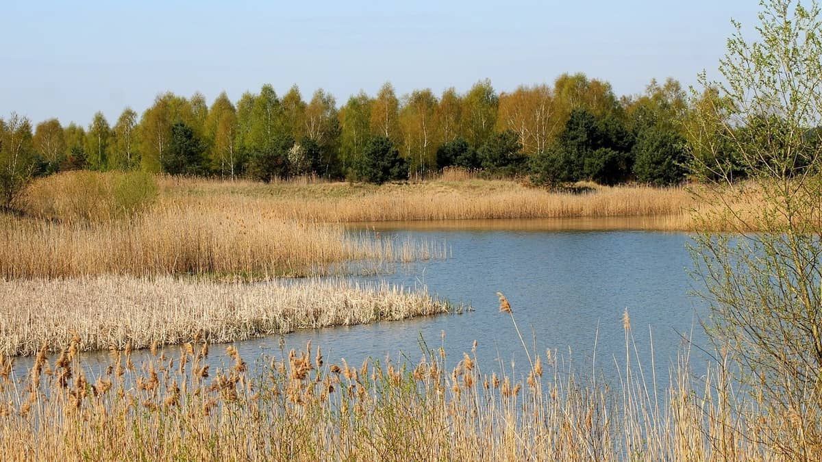 Pai vê filho morrer afogado em lagoa da família no interior de Minas 