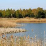 Pai vê filho morrer afogado em lagoa da família no interior de Minas 